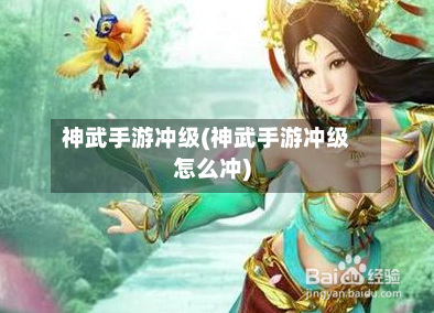 神武手游冲级(神武手游冲级怎么冲)