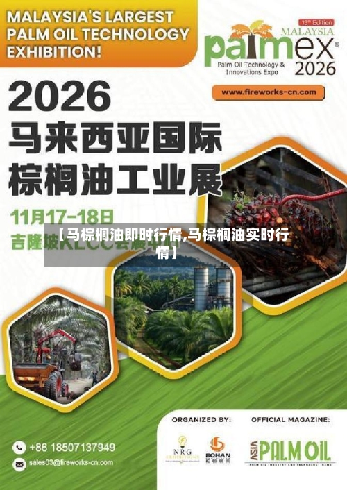 【马棕榈油即时行情,马棕榈油实时行情】-第3张图片