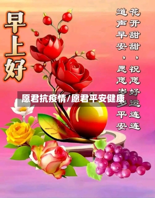 愿君抗疫情/愿君平安健康