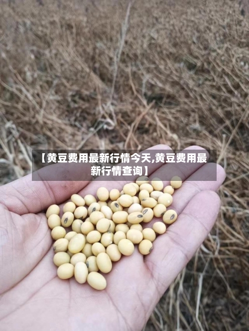 【黄豆费用最新行情今天,黄豆费用最新行情查询】-第2张图片