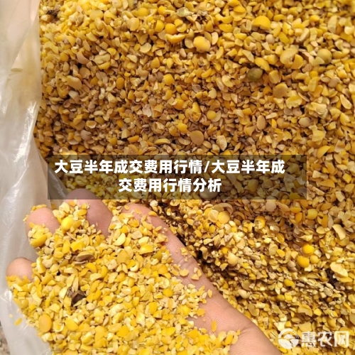 大豆半年成交费用行情/大豆半年成交费用行情分析-第3张图片