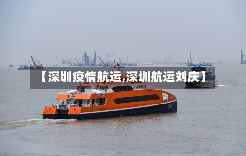 【深圳疫情航运,深圳航运刘庆】-第2张图片