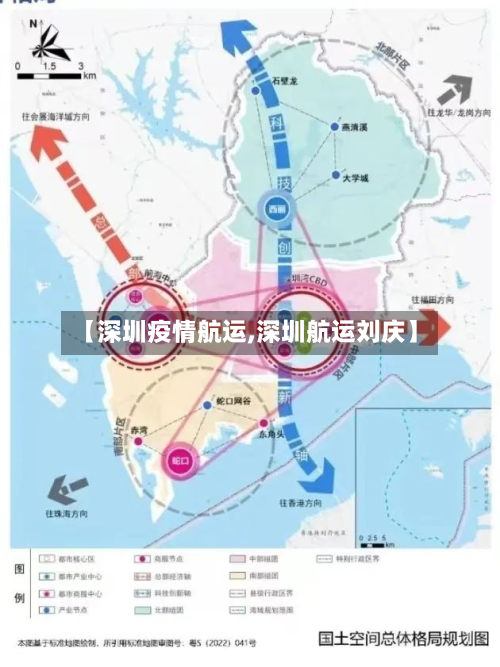 【深圳疫情航运,深圳航运刘庆】