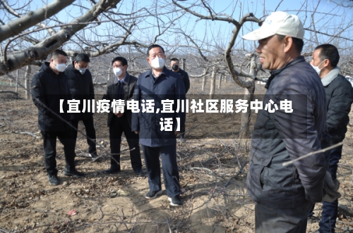 【宜川疫情电话,宜川社区服务中心电话】
