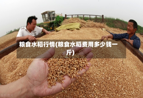 粮食水稻行情(粮食水稻费用多少钱一斤)