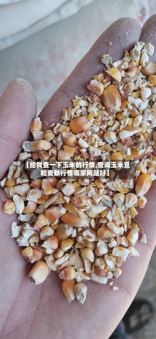 【给我查一下玉米的行情,查询玉米豆粕麦麸行情哪家网站好】