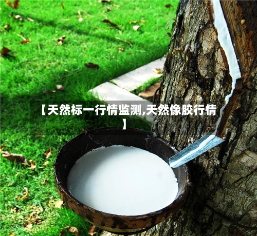 【天然标一行情监测,天然像胶行情】