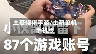 土豪烧猪手游/土豪单机手机版-第2张图片