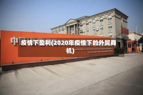 疫情下盈利(2020年疫情下的外贸商机)