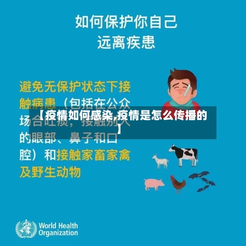 【疫情如何感染,疫情是怎么传播的】