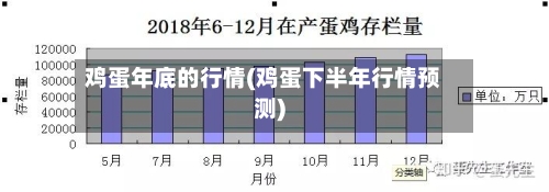 鸡蛋年底的行情(鸡蛋下半年行情预测)-第2张图片