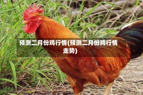 预测二月份鸡行情(预测二月份鸡行情走势)