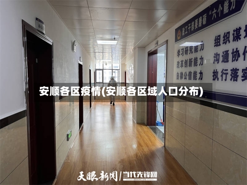 安顺各区疫情(安顺各区域人口分布)-第3张图片