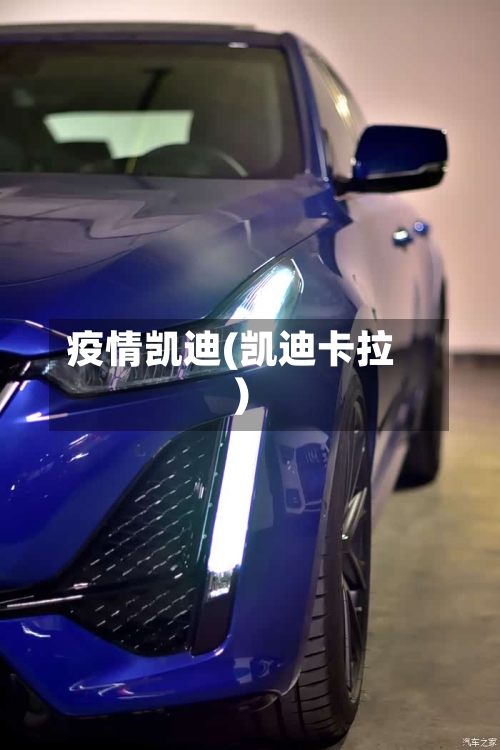 疫情凯迪(凯迪卡拉)-第2张图片