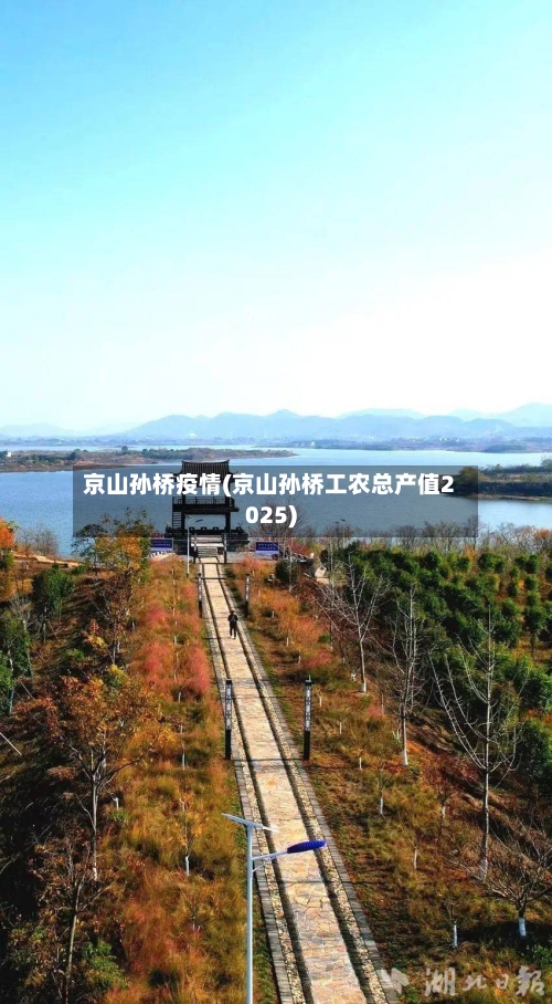 京山孙桥疫情(京山孙桥工农总产值2025)