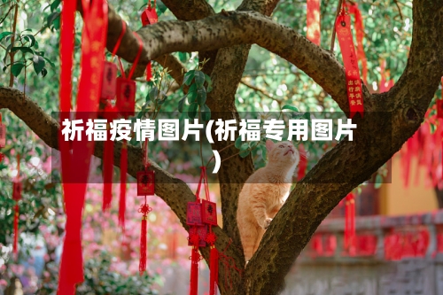 祈福疫情图片(祈福专用图片)-第2张图片