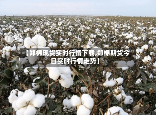【郑棉现货实时行情下载,郑棉期货今日实时行情走势】