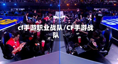 cf手游职业战队/CF手游战队-第3张图片