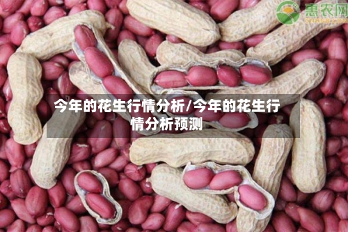 今年的花生行情分析/今年的花生行情分析预测-第2张图片