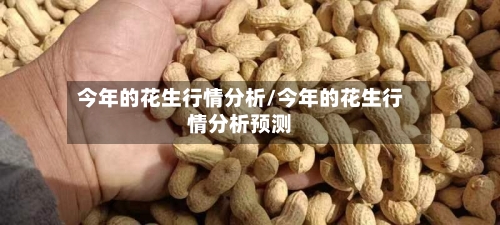 今年的花生行情分析/今年的花生行情分析预测