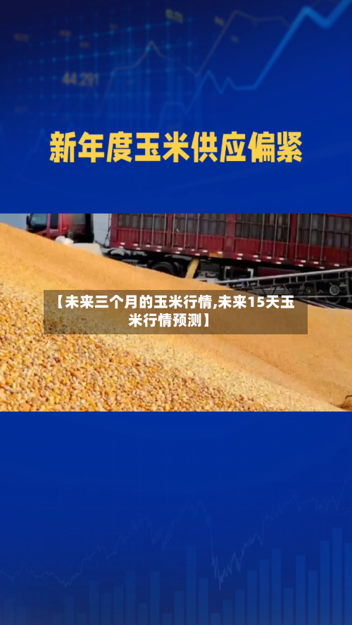 【未来三个月的玉米行情,未来15天玉米行情预测】