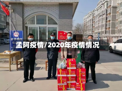 孟阿疫情/2020年疫情情况-第2张图片