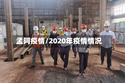 孟阿疫情/2020年疫情情况-第3张图片