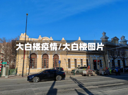 大白楼疫情/大白楼图片