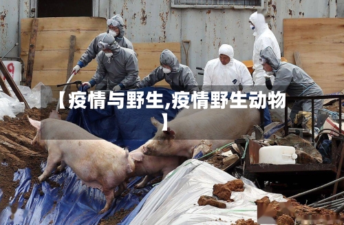 【疫情与野生,疫情野生动物】-第3张图片