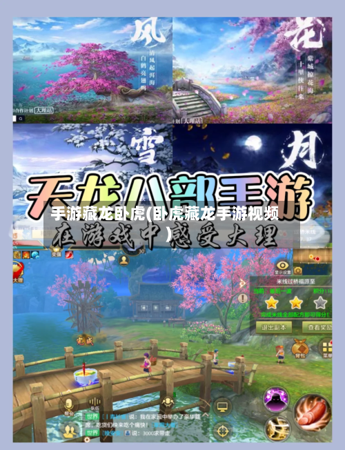手游藏龙卧虎(卧虎藏龙手游视频)