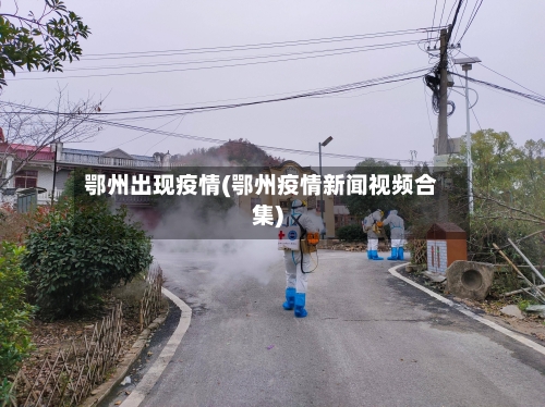鄂州出现疫情(鄂州疫情新闻视频合集)-第2张图片