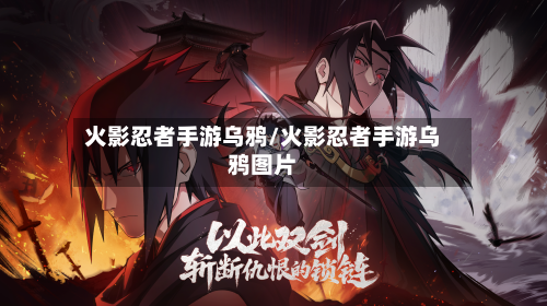 火影忍者手游乌鸦/火影忍者手游乌鸦图片-第2张图片