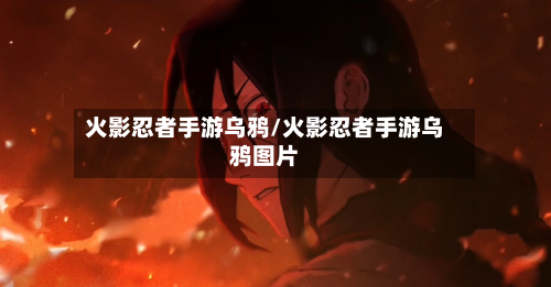 火影忍者手游乌鸦/火影忍者手游乌鸦图片