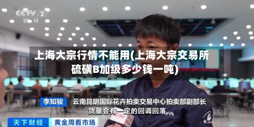 上海大宗行情不能用(上海大宗交易所硫磺B加级多少钱一吨)-第2张图片