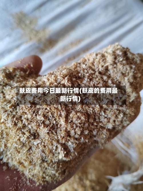 麸皮费用今日最新行情(麸皮的费用最新行情)