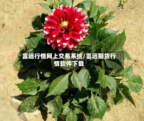 富远行情网上交易系统/富远期货行情软件下载