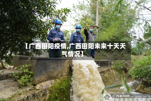 【广西田阳疫情,广西田阳未来十天天气情况】