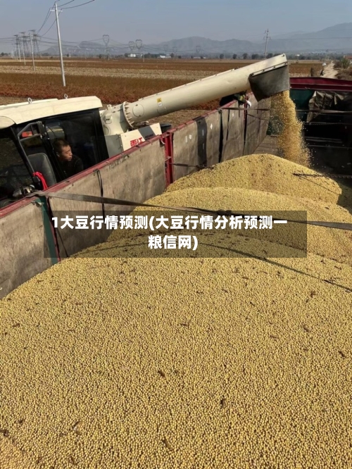 1大豆行情预测(大豆行情分析预测一粮信网)