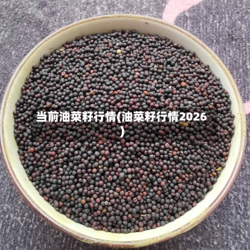 当前油菜籽行情(油菜籽行情2026)-第3张图片