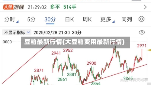 豆粕最新行情(大豆粕费用最新行情)-第3张图片